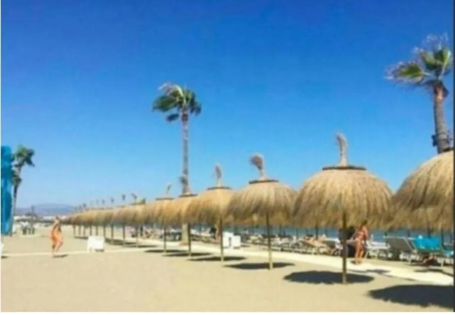公寓 马尔韦利亚Junto A La Playa Wifi Parking公寓